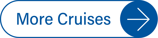more cruise button